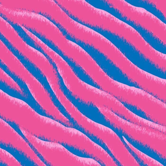 01418 Sassy Zebra - Spandexbyyard