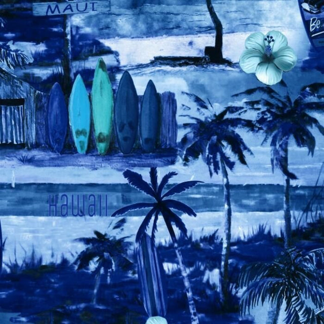 40897 Surfers Beach S - Spandexbyyard