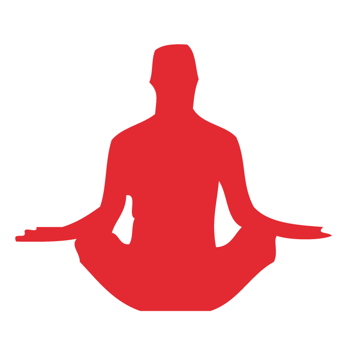 Yoga Pants & Bras Fabric - Spandexbyyard