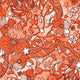 Flower Stars 4 - Spandexbyyard