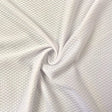 SP - F1 | Stretch Mesh | Micro Mesh and Eyelet - Spandexbyyard