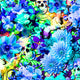 SPT 6637 FLOWER SKULLS AND PEGASUS - Spandexbyyard