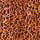 01198 Daphny Leopard - Spandexbyyard