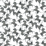 01263 Zebra Multicolor - Spandexbyyard