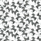 01263 Zebra Multicolor - Spandexbyyard