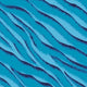 01418 Sassy Zebra - Spandexbyyard