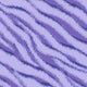 01418 Sassy Zebra - Spandexbyyard