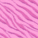 01418 Sassy Zebra - Spandexbyyard