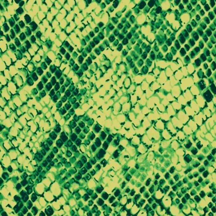 Snake Skin Spandex Fabric – Exotic Animal Print Stretch Fabric