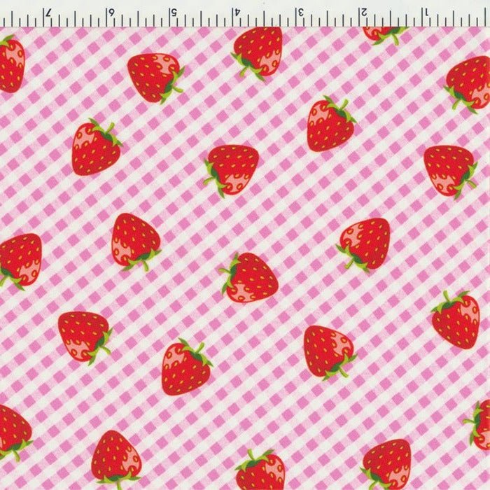 Strawberry　0612　★ Strawberry HiTech (Cambodia x Panama Bx3) | Landrace Bureau