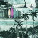 40897 Surfers Beach S - Spandexbyyard