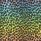 40928 Mini Leo Ombre Horiz - Spandexbyyard