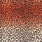 40928 Mini Leo Ombre Horiz - Spandexbyyard