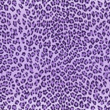 40928 Mini Leo Ombre Horiz - Spandexbyyard