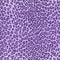 40928 Mini Leo Ombre Horiz - Spandexbyyard