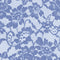 41332 Lace De Luxe - Spandexbyyard