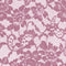 41332 Lace De Luxe - Spandexbyyard