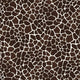 99024 Giraffe - Spandexbyyard