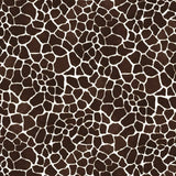 99024 Giraffe - Spandexbyyard