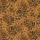 99024 Giraffe - Spandexbyyard