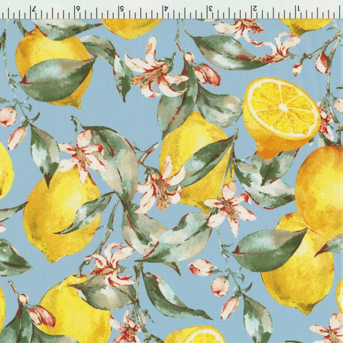 40414-1003 Lemon Tree MediumSpandex, Printed SpandexSpandexByYard/SportekSpandexbyyard