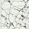 SP-NP2805 Husky Marble Nylon Spandex Digitally Wet PrintSpandex, Wet PrintSpandexByYard/SportekSpandexbyyard