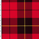 P - 8337 - 02 Printed Spandex Poly - Spandex Tricot four Way Stretch Mid - weight - Spandexbyyard