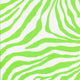 P - SCP443 | Printed Spandex Neon Orange - Spandexbyyard