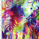 P - SPT107 | abstract, painting, rainbow, multi - color, Printed Spandex - Spandexbyyard