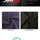 SP - ECO8 Sportek Eco - Mode Recycled Environmentally Friendly Zirotek Micro Fleece Double Sided - Spandexbyyard