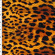 SP - NP2661 Brown Gold Nylon Spandex Digitally Wet Print - Spandexbyyard