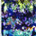 SP - NP2670 Colorful Snake Skin - Blue Black Orange Yellow | Nylon Spandex Digitally Wet Print - Spandexbyyard