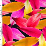 SP - NP2679 Love & Leaf - Fuchsia Orange Black | Nylon Spandex Digitally Wet Print - Spandexbyyard