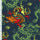 SP - NP2734 Nylon Spandex Digitally Wet Print - Spandexbyyard