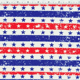 SP - NP2751 Nylon Spandex Digitally Wet Print - Spandexbyyard