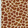 SP - NP2753 Nylon Spandex Digitally Wet Print - Spandexbyyard