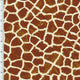 SP - NP2753 Nylon Spandex Digitally Wet Print - Spandexbyyard