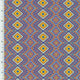 SP - NP2788 Aztec Queen Nylon Spandex Digitally Wet Print - Spandexbyyard