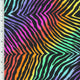 SP - NP2792 Rainbow Zibra Nylon Spandex Digitally Wet Print - Spandexbyyard