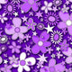 SPT - 6641 - Flower Stars 3 - Spandexbyyard