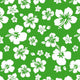 SPT6601 Hibiscus - Spandexbyyard